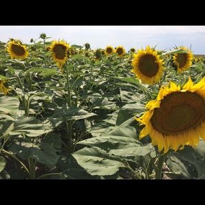 Meet your Posher, Marilyn